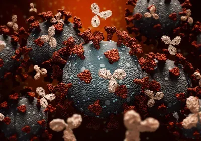 monoclonal antibody antibodies sars-cov-2 covid-19 coronavirus pandemic eli lilly receptor binding domain spike protein